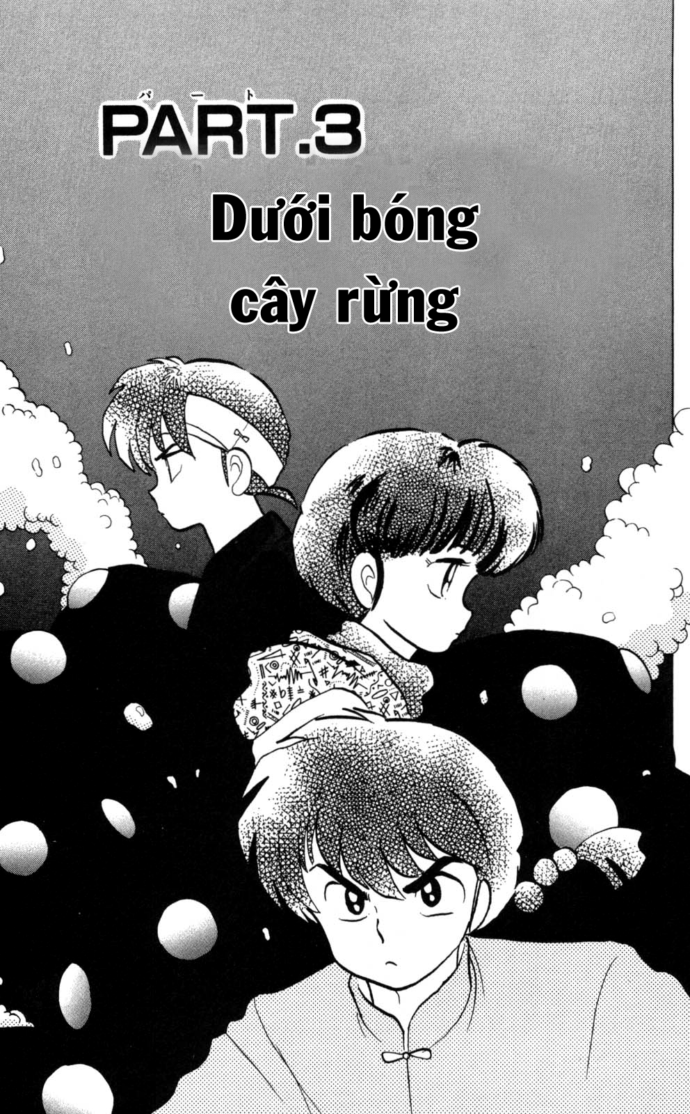 [Fto] Ranma 1/2 - Trang 2