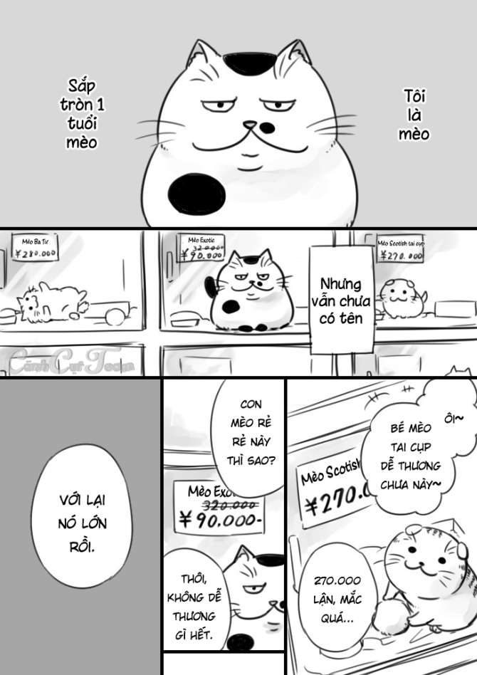 Ojisama To Neko - Trang 1