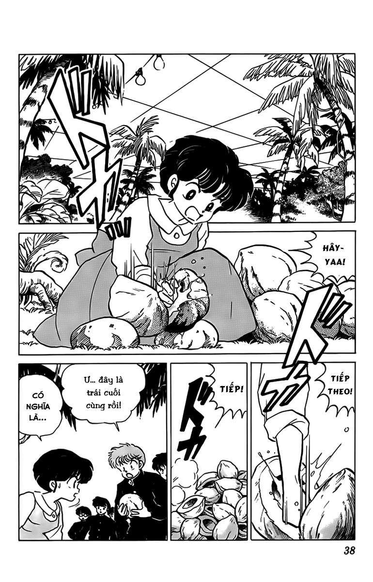 [Fto] Ranma 1/2 - Trang 2